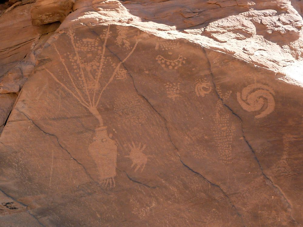 Dinosaur national park (15).JPG